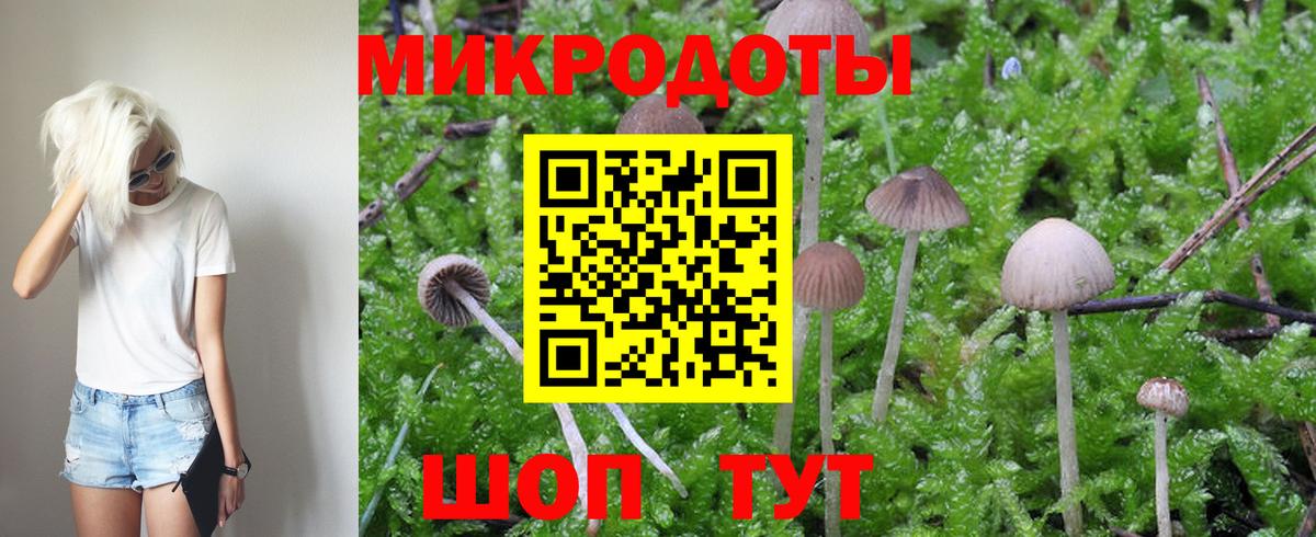 Когалым  Псилоцибиновые грибы Magic Shrooms  Вход с VPN 